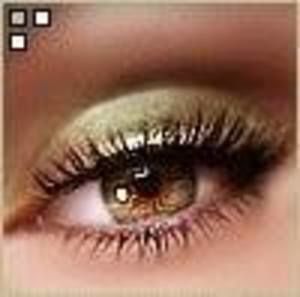 Meet your Posher, Wendi